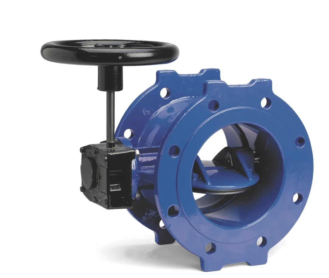Double Eccentric Butterfly Valve