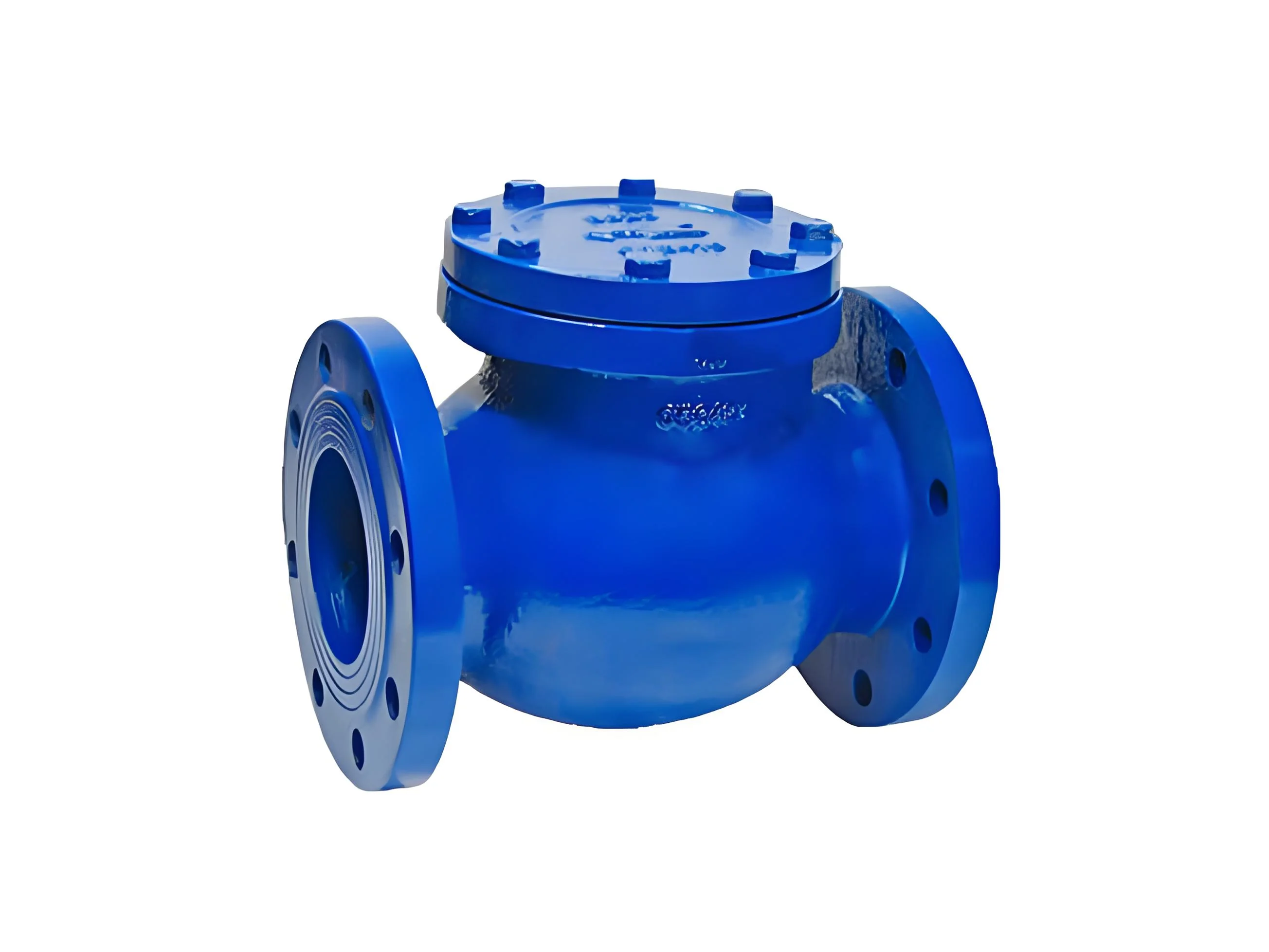 Swing Check Valve