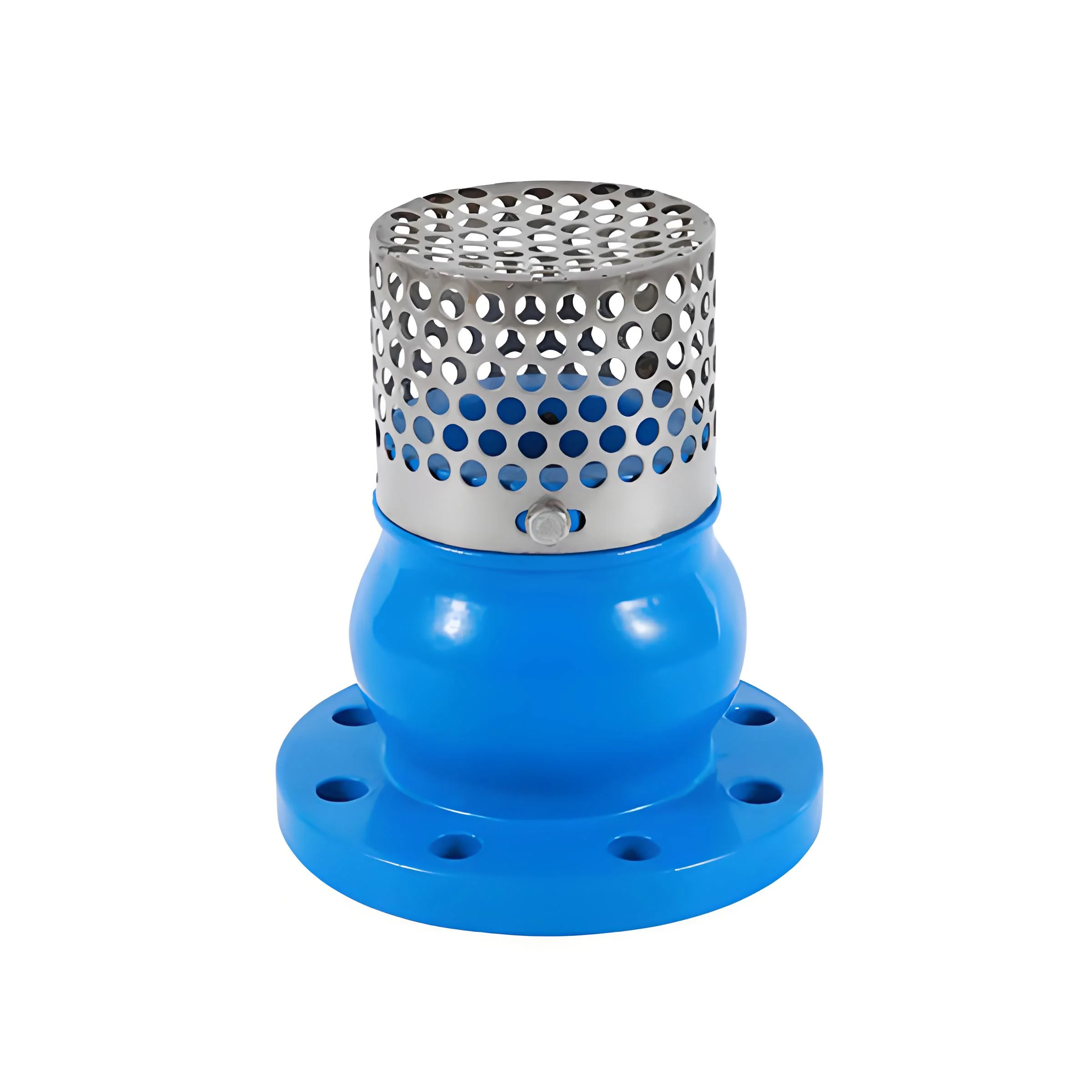 Check Valves